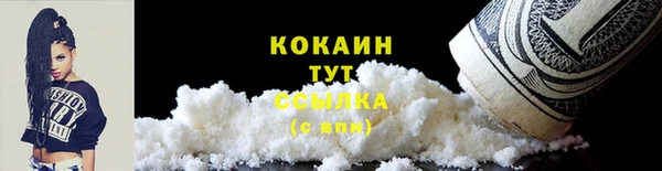 гидра Бежецк